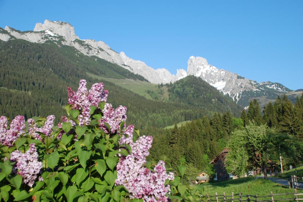 Alpenhaus Donnerkogel Daire Annaberg im Lammertal Dış mekan fotoğraf