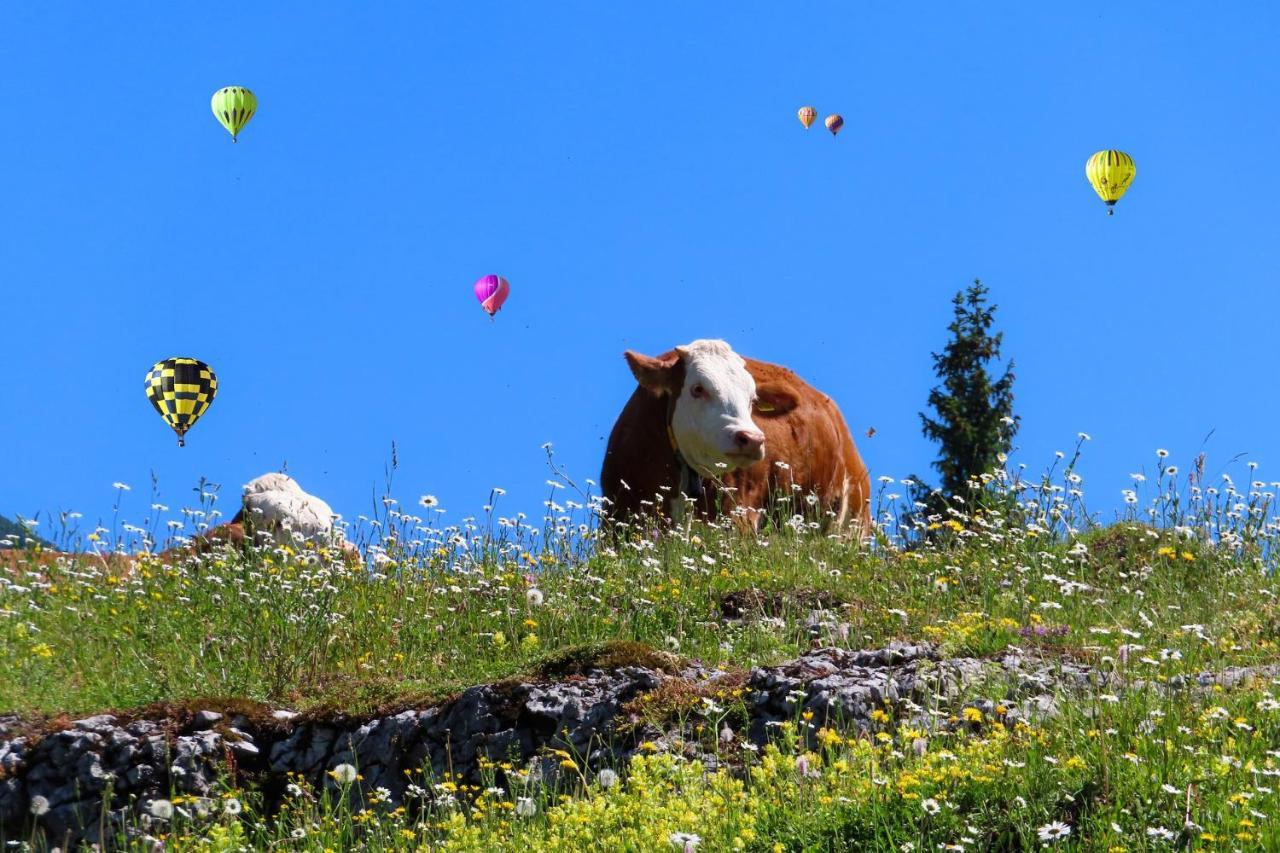 Alpenhaus Donnerkogel Daire Annaberg im Lammertal Dış mekan fotoğraf