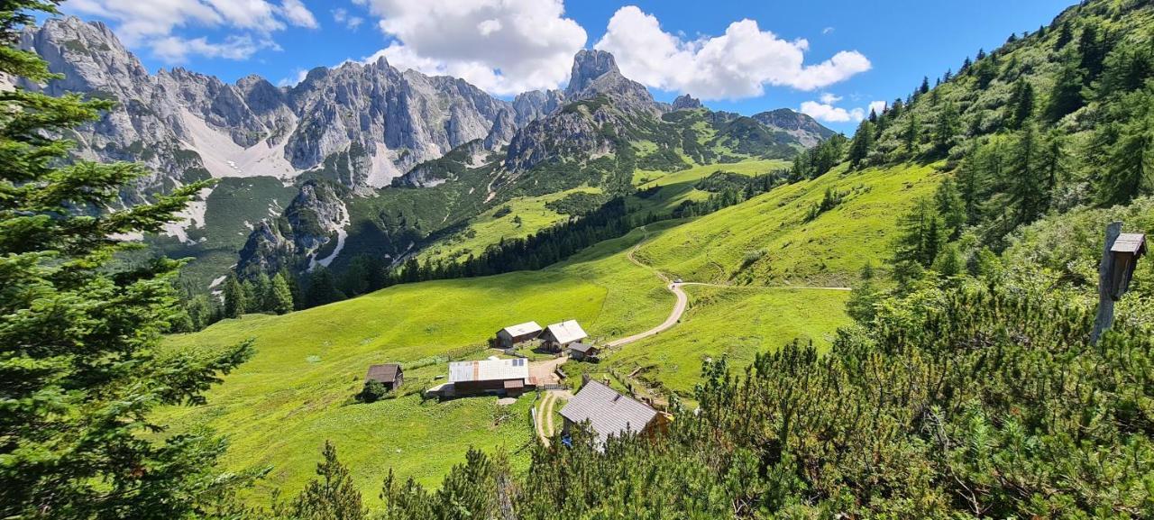Alpenhaus Donnerkogel Daire Annaberg im Lammertal Dış mekan fotoğraf
