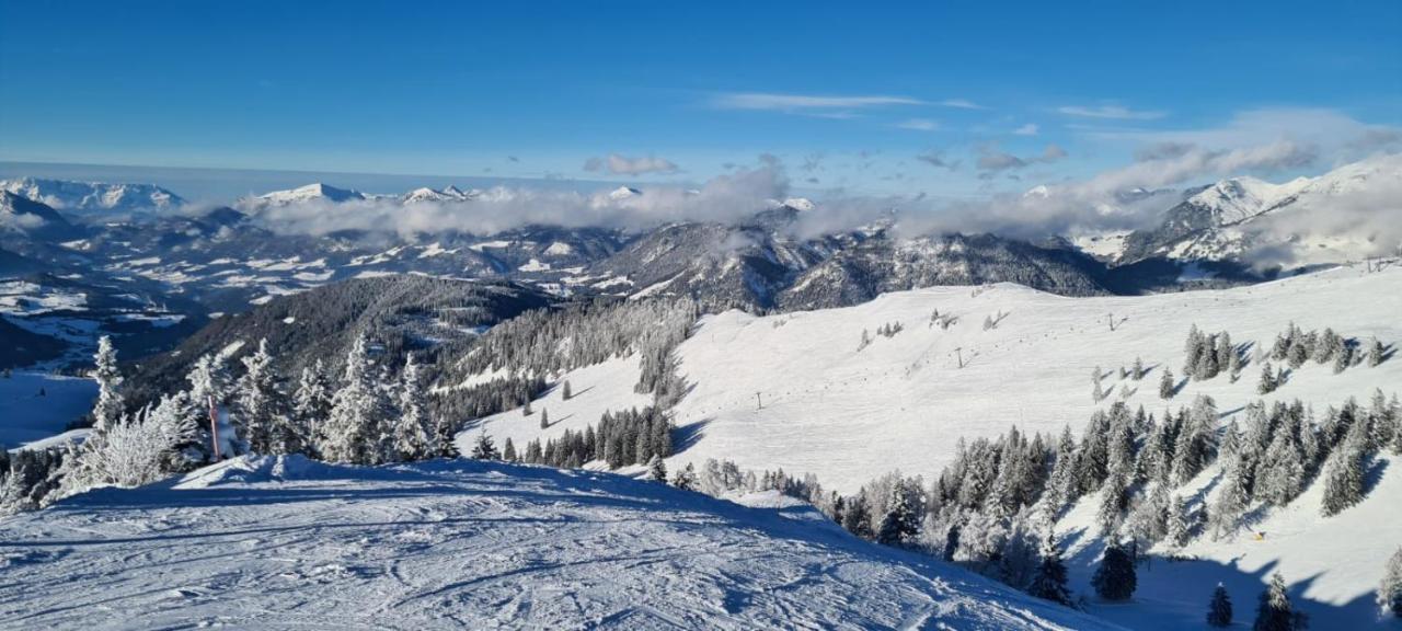 Alpenhaus Donnerkogel Daire Annaberg im Lammertal Dış mekan fotoğraf